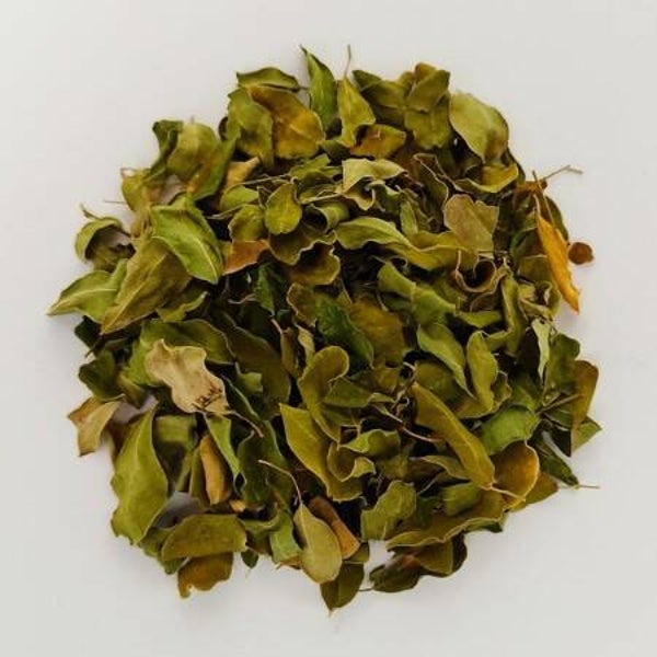 Moringa Superior – Kruidenthee met losse bladeren